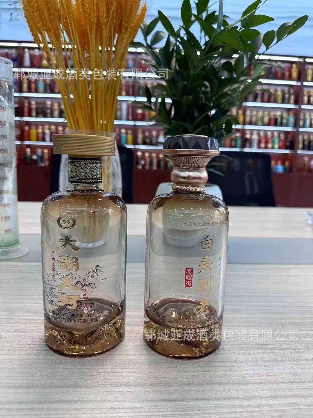 微信图片_20240702100340