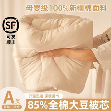 A类85%全棉大豆被春秋被学生宿舍被子被芯新疆棉面料被子冬被批发