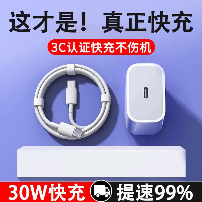 Suitable for Apple iPad Charger Fast Charging Genuine Tablet Air5 Dual Typec Fast Charging Head Pd30W Fast Charging Cable