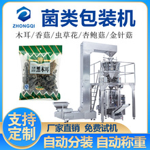 b㹽bCľĢԄӷQطb؛UbCеS