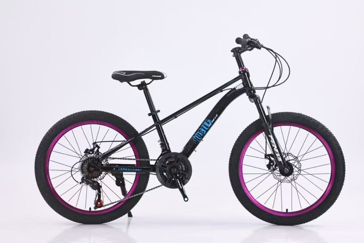 22 Phoenix viento violeta círculo bicicletas de montaña cambio de velocidad bicicleta de montaña para adultos
