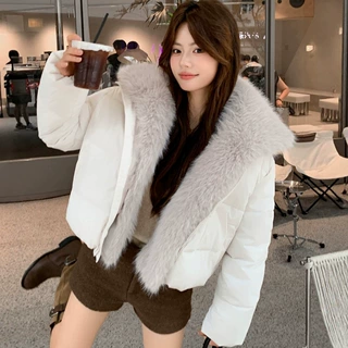 冬季毛绒拼接短款棉服女大翻领大毛领宽松显瘦棉袄外贸实体货源