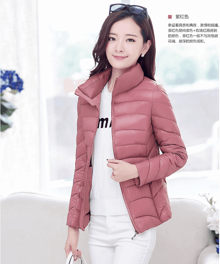 Осенне-зимнее Новое легкое пуховое пальто с хлопковой подкладкой, женское Короткое облегающее пальто больших размеров с хлопковой подкладкой, внешняя торговля