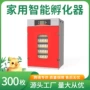 控温孵化一体大型孵化机