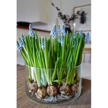 2023ľ�m���������L���Ӻ��m�M�ڷN��÷N���BС�����ԾG�b10���b