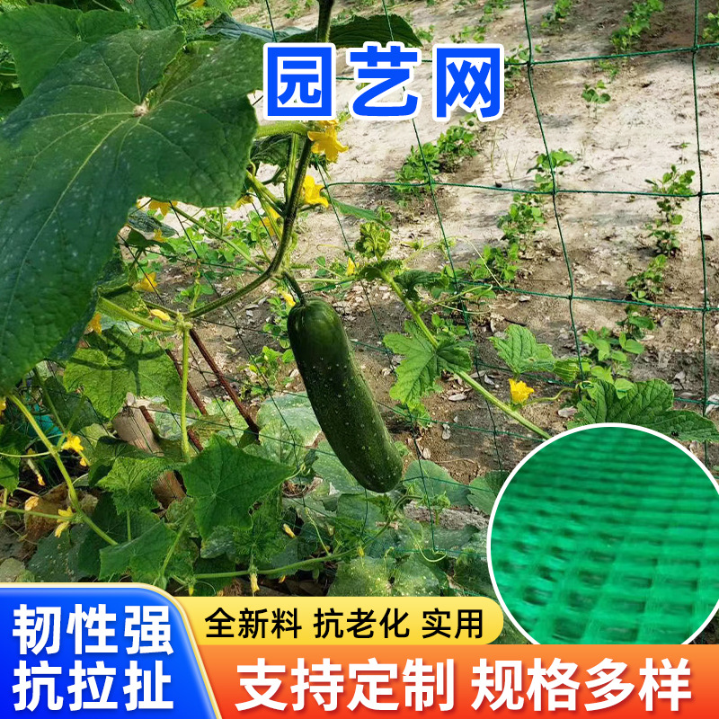 园艺植物爬藤网攀爬种植搭架丝瓜百香果豆角藤蔓花卉网农用葡萄棚