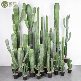 �������������W�Gֲ�����ƟᎧֲ����@���쾰������ؼ٘��辰