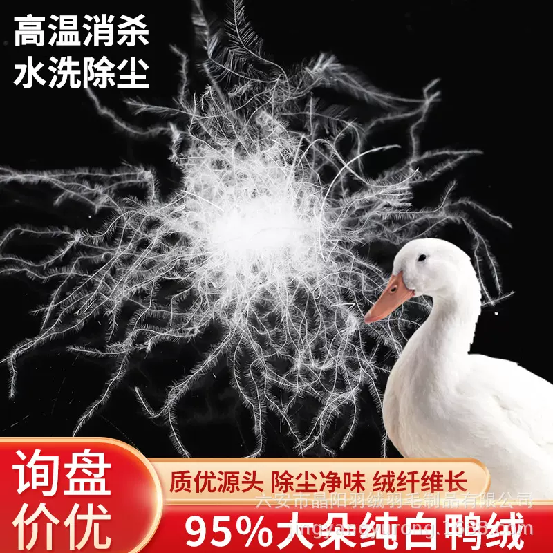 95纯白鸭绒 国标纯白中大朵 国标水洗羽绒 厂家批发直供羽毛被服