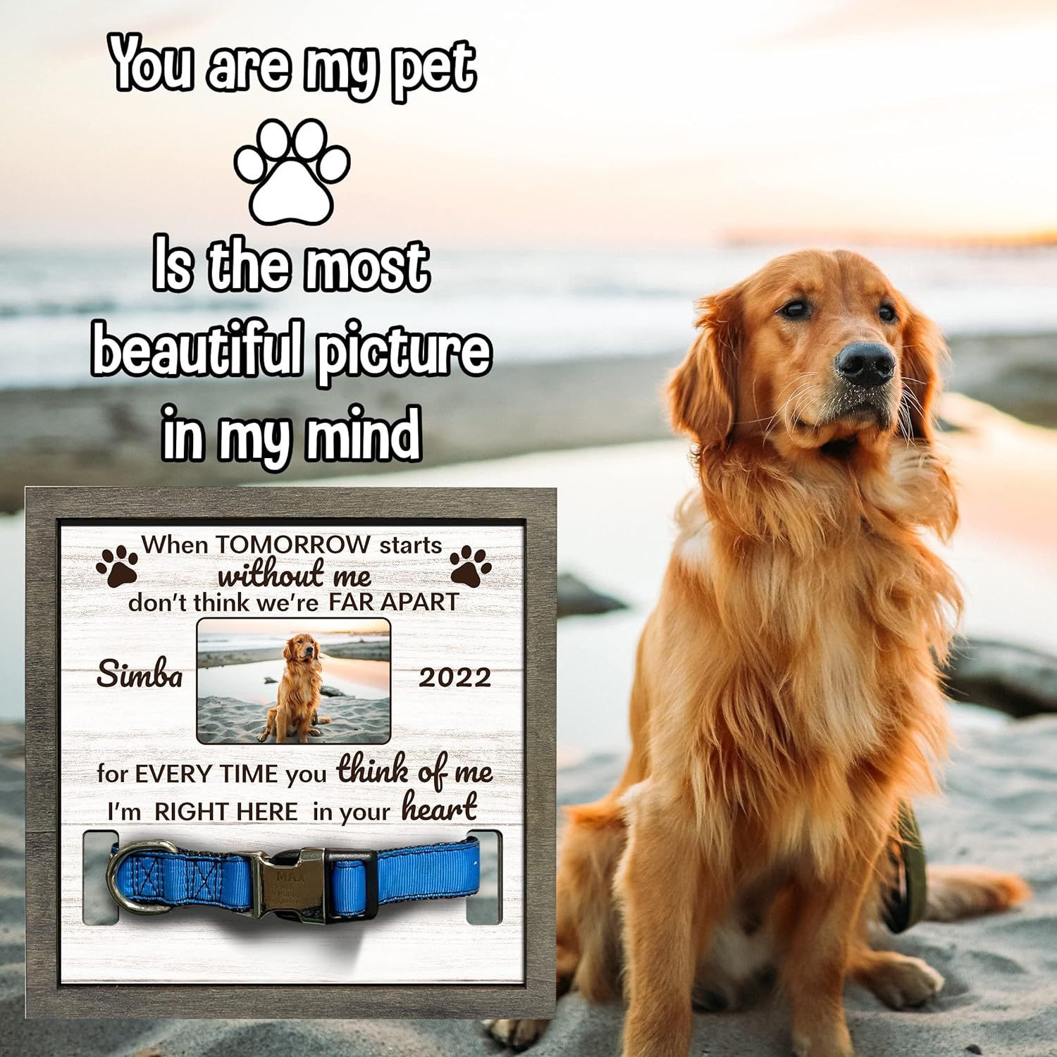 Marco DE FOTOS conmemorativo de la mascota de madera puede sostener el collar tridimensional Mesa PET foto marco madera mascota regalo perdido