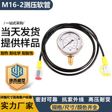 Һyԇ׼ - 40MPa  600Bar ܛܜyԇc^ M16*2-BSP1