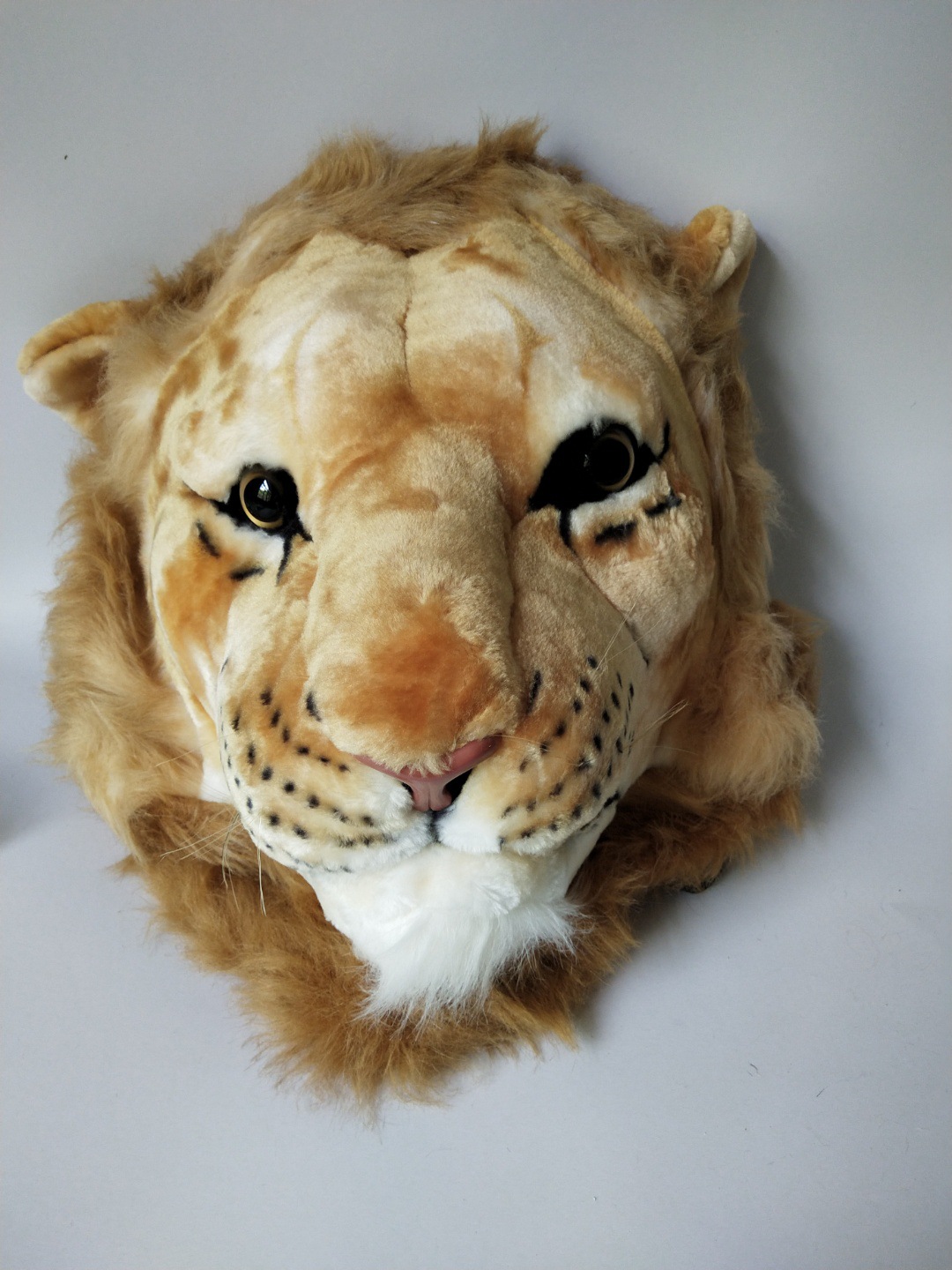 IMG_20210708_124025(2)