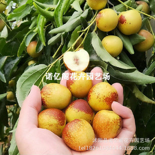 ��������ϱ����Nֲ�󶬗��������ͥԺ���Լ޽ӹ����箔��Y��