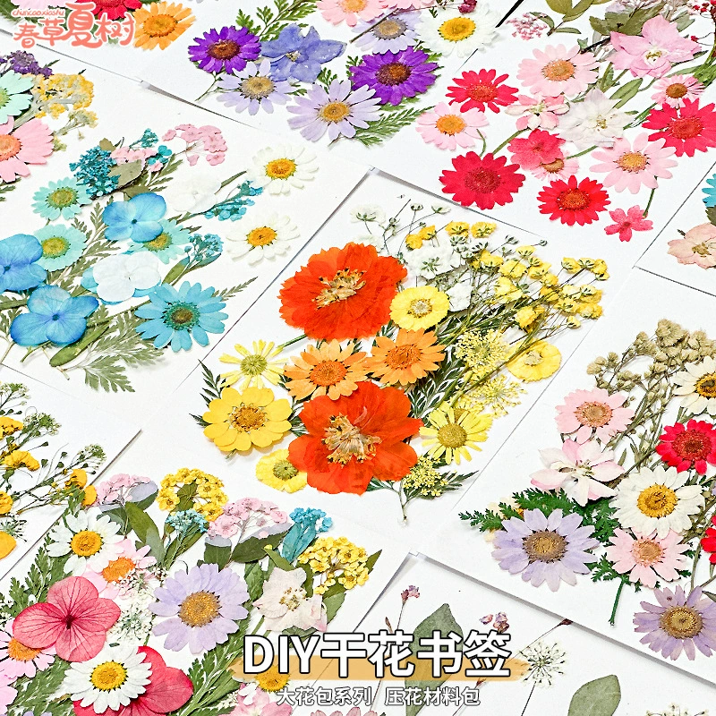 Подарок на выпускной сезон, сушеные цветы, материал «сделай сам», вечный тисненый цветок, прессованный цветок, клей ручной работы, закладка, образец растения