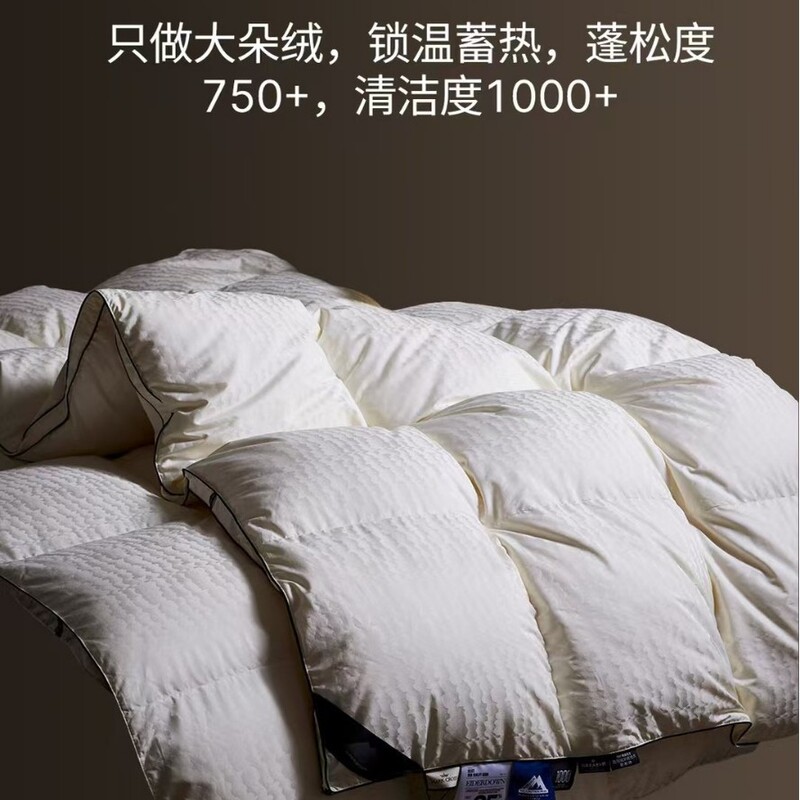 Colombia, 2025 New Big Wild Goose Duck Down Quilt 95 White Duck Down Quilt 7A Antibacterial Tencel Quilt Core