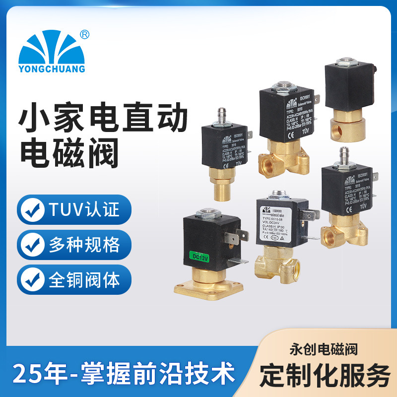 永创5515-10微型小家电 呼吸机电磁阀 常闭电磁阀1/8黄铜热水阀