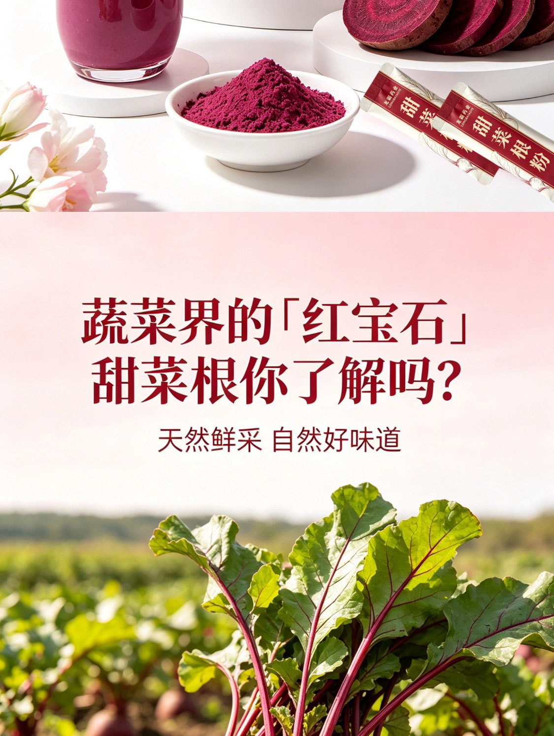 Beetroot Powder Tian Cai Gen Fen 150g Natural Vegetable Fruit Powder for Breakfast Drinks and Baking overview