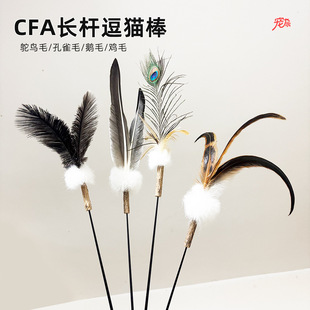 CFA��؈���L�U��ë����ľ��ޤĥ�����r�B��ë��Q�^؈�����