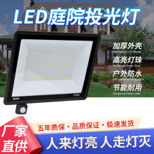 ledwБͶͥԺ܇50WO_t⾀