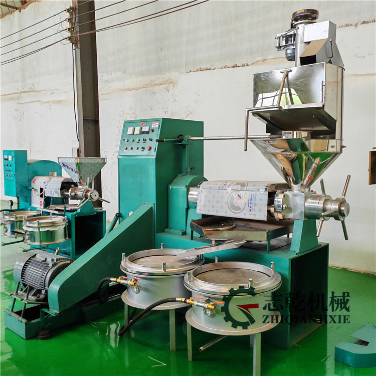 冷榨榨油机 大型多功能 新型低温 全自动上料食用油加工设备 花生