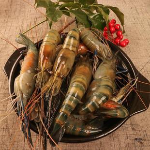 �_���r���r�����r����������^�r�ك����r���r���r���r���l���uͨ