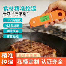厂家直供探针式食品温度计 厨房烧烤肉类专用 折叠测温针 精准快