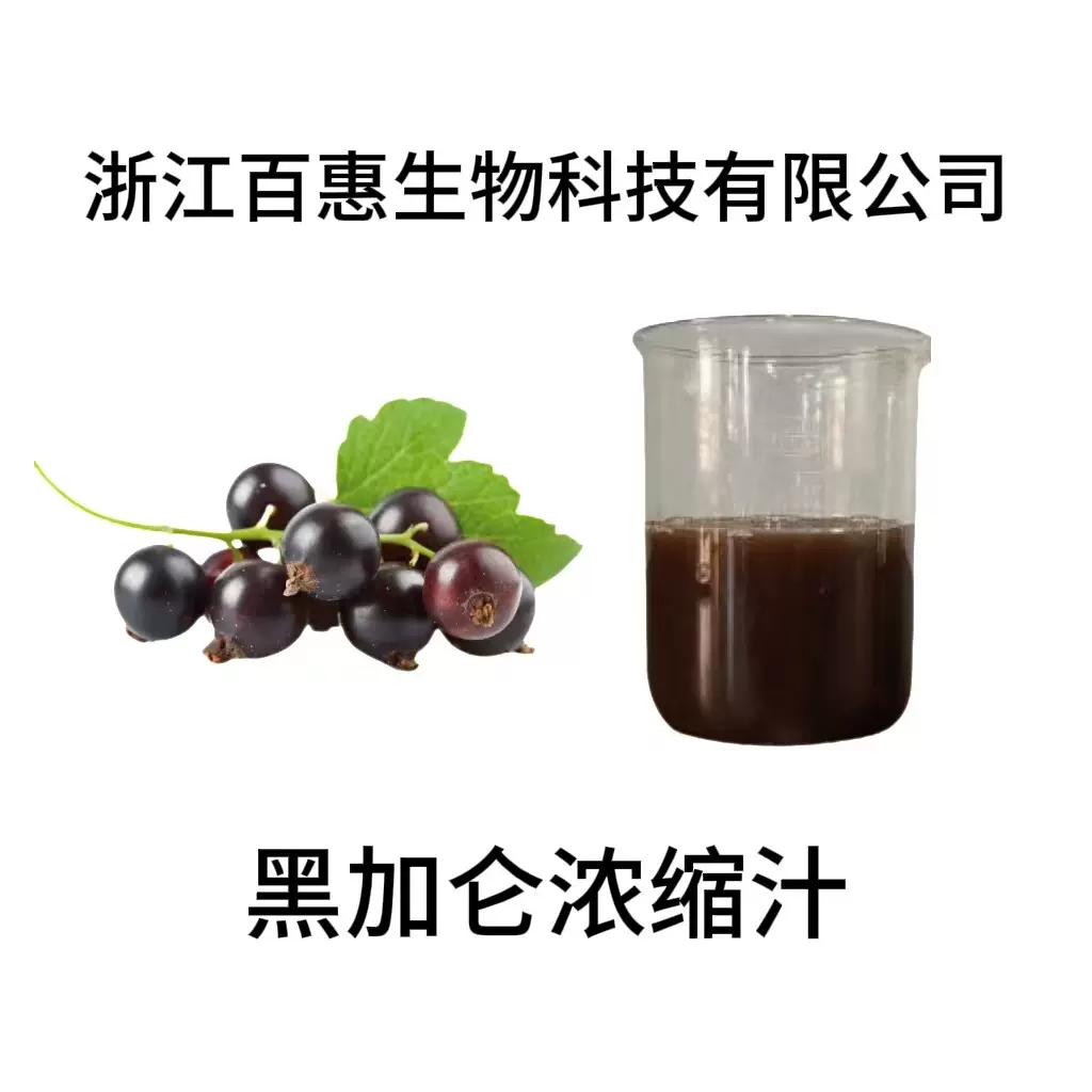 黑加仑浓缩汁 黑加仑浓缩液 黑加仑提取物 百惠生物厂家出品