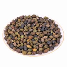 中药材 鸦胆子 鸭蛋子 鸦蛋子 鸦蛋子仁 新货