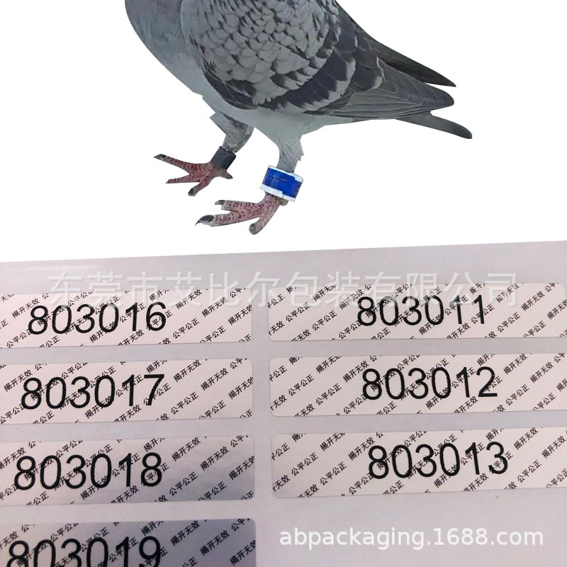 微信图片_20250327150312