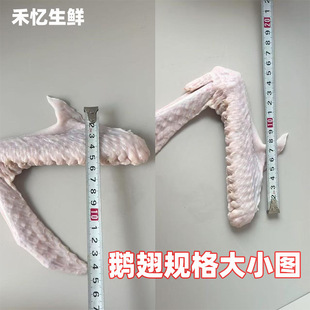 �Z�����r���l���ڏV�|�����Z����������rʳ���Z��ɢ�B�����Z�F��