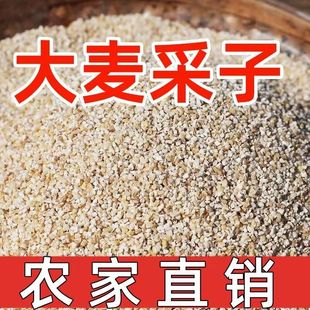 �}���خa����s�Z�������ӴּZ�����R�Ӵ������Ӵ����� ���l�r