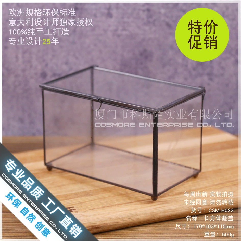 Экологическая коробка мха бутылка микроскопическая нерегулярная стеклянная комната креативный ландшафтный ландшафт миниатюрная украшение зеленый цветочный горшок