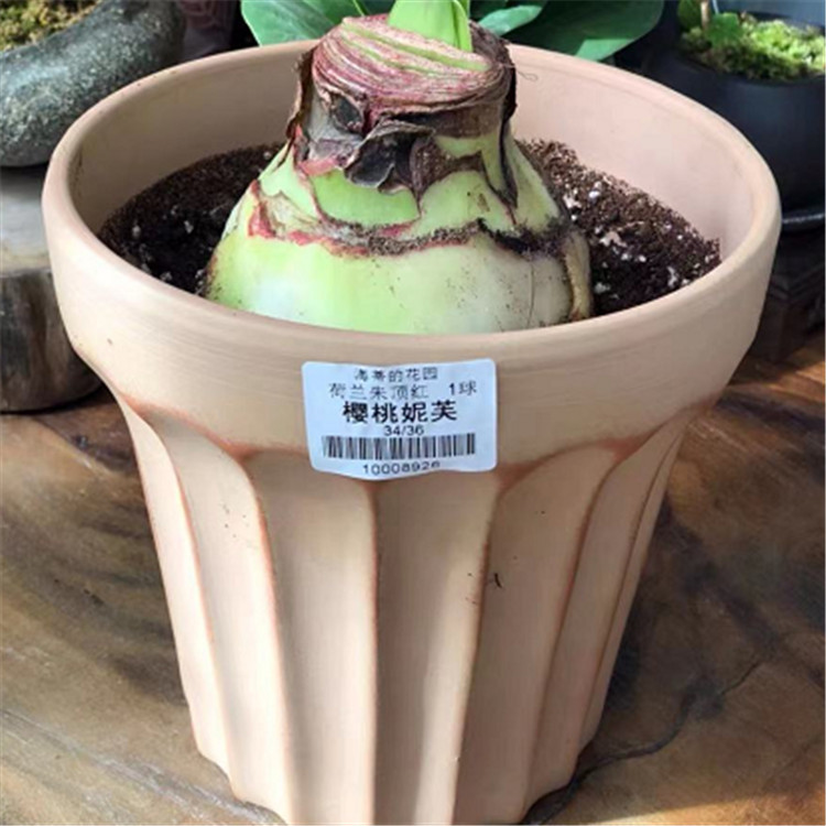 微信图片_20220103213920_副本