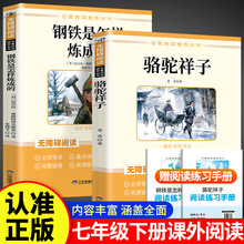 钢铁是怎样炼成的 骆驼祥子全套2册七年级下册课外阅读名著