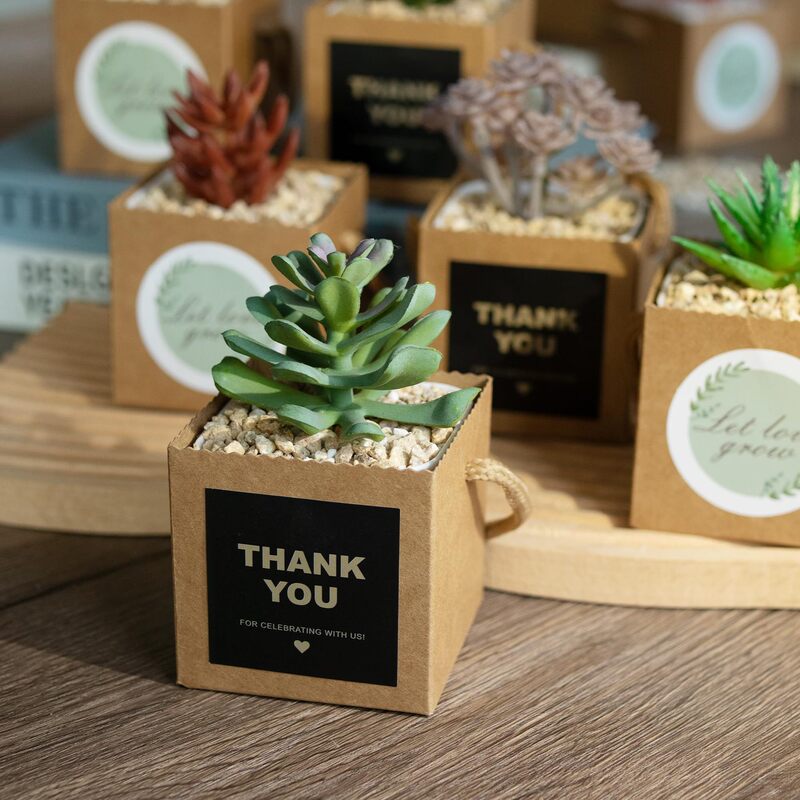 Cross-Border Kraft Paper Succulent Box, Square Waterproof Portable Flower Arrangement Box, Mini Green Plant Portable Succulent Potting Box