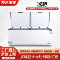 冷蔵庫冷凍庫大容量業務用省エネ横型二重温度冷凍庫急速冷凍冷蔵庫アイスクリームキャビネット超低温冷凍庫