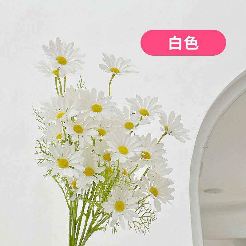 하얀색