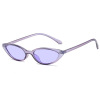 Brand sunglasses, fashionable glasses solar-powered hip-hop style suitable for men and women, 2021 years, cat's eye