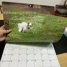 跨境新品2024年狗狗大便日历 创意狗狗日历Dogs Pooping Calendar