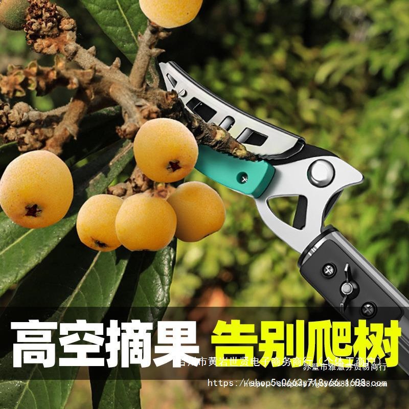 摘水果枇杷荔枝杨梅摘果伸缩杆采摘器高枝剪高空修枝剪剪修枝直销