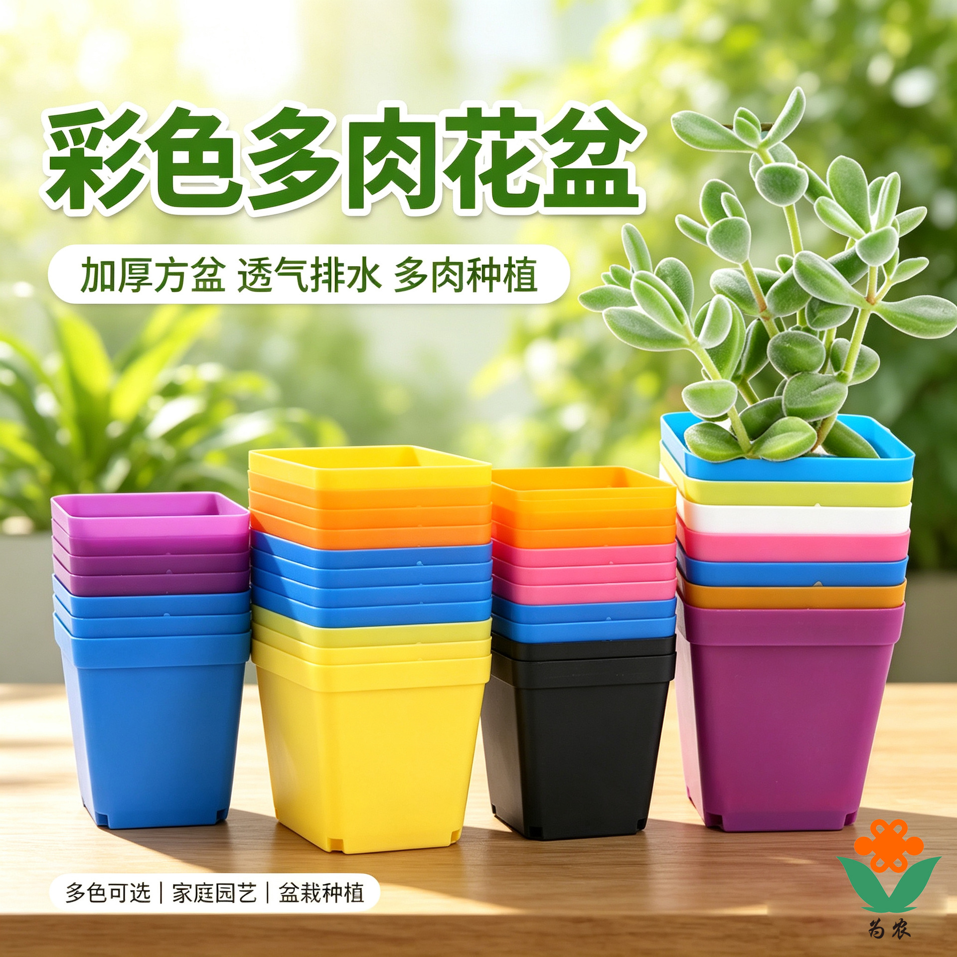 彩色多肉植物塑料花盆育苗盆小多肉盆小方盆托盘彩方大小黑方