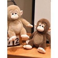 �ɐۿ�ͨ�J��������ż�����޴����ɺ���ë�q��߹��Ѓ�ͯ���նY��