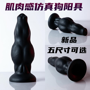 �����ι���Ů��sm�������ꖾ߼���o������Ȥ���z��ͥ����