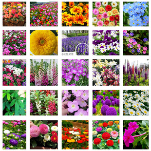 ���羳��؛���ױ���N���_�����໨���҃������ļ��N�׻����Ի���