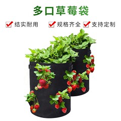 跨境批发毛毡草莓土豆种植桶蔬菜花卉种植毛毡袋圆形开口种植袋