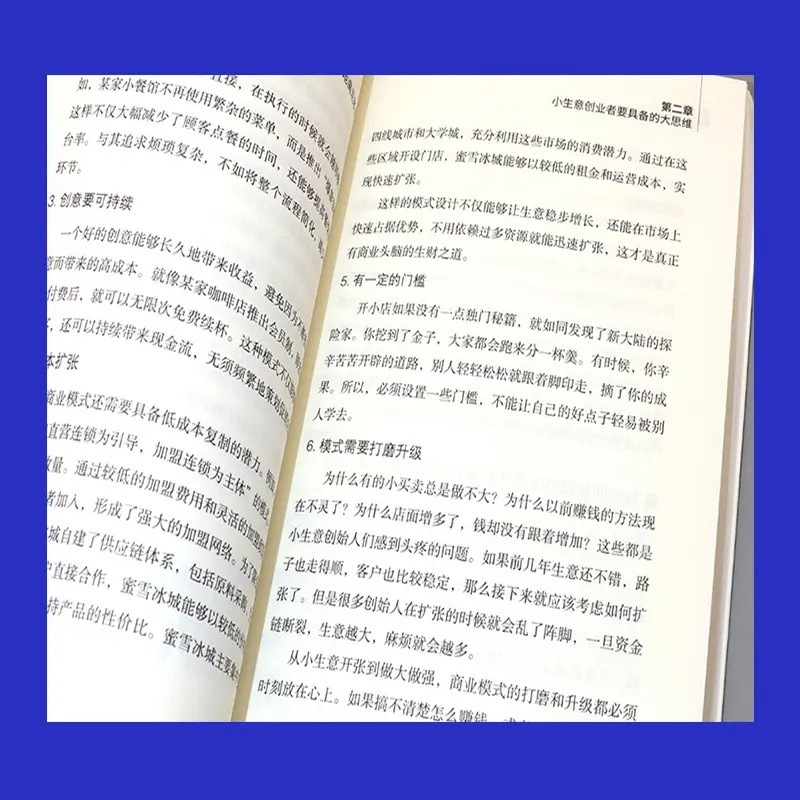 小生意大收益书正版创业思维宝典打破思维初创企业的不焦虑创业法|undefined