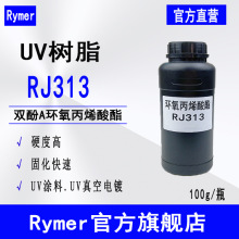 RJ313 ̻֬100gb ;׼pAhϩ RJ313