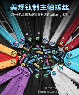Titanium screw anode