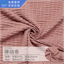 T���\�]�Ứ��200g�Ʉӗl�ߏ����ٸ����ϸߠ�������\��ᘿ�����