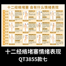 十二经络挂图图解中医养生人体经络穴位标准大图手部足部穴位贴纸