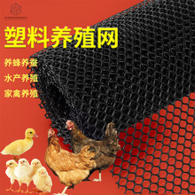 ȫ����ĵϠ�Bֳ�W�Ӻ�����Bֳ�W�B�u�|�W�u���Z�����B�o�W���ϾW